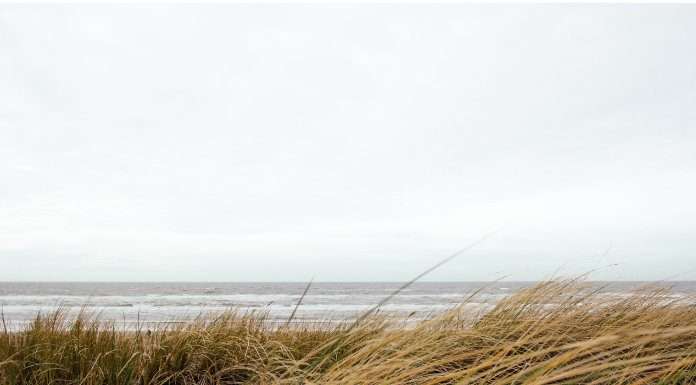 Vakantie aan de Nederlandse kust nederlandse kust