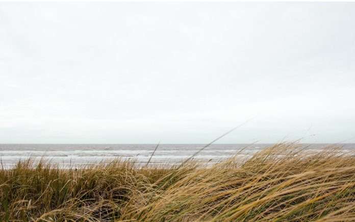 nederlandse-kust nederlandse kust