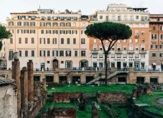 Largo di Torre Argentina: Info, weetjes & tips Largo di Torre Argentina