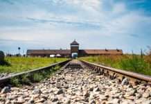 Rondleiding Auschwitz: Mogelijkheden, wat verwachten + prijs? auschwitz rondleiding