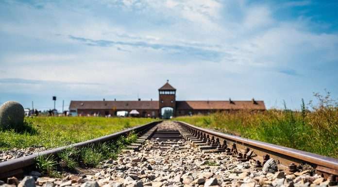 auschwitz rondleiding