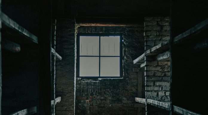 auschwitz III monowitz